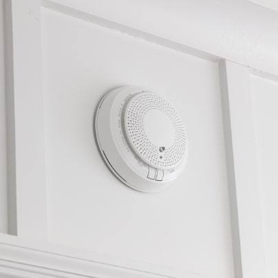 St. Paul smoke detector adt