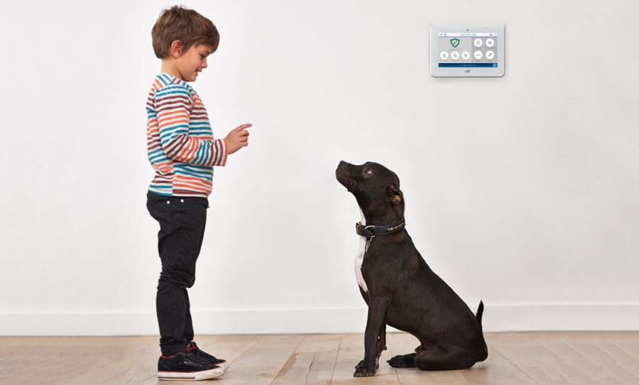 Forest Lake security systems